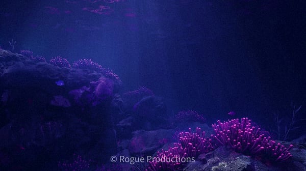Premium reef photo 28